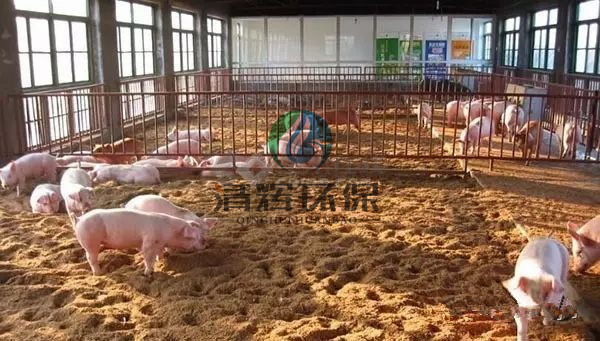 養(yǎng)殖污水處理、養(yǎng)豬場污水處理